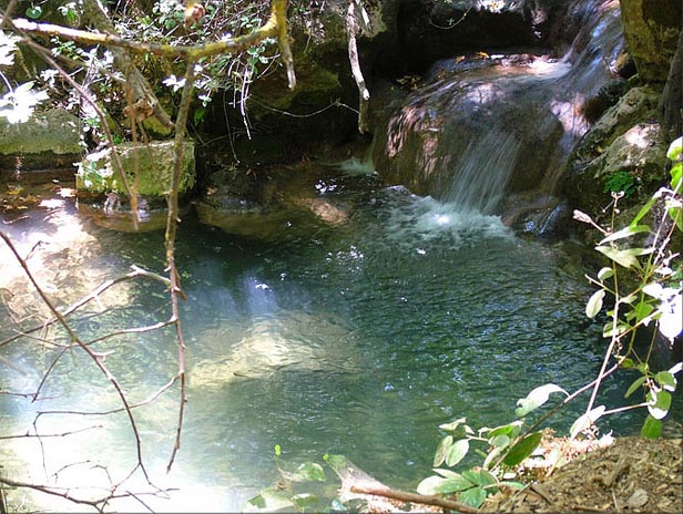 The highlight of a Nahal Amud hike is the water.