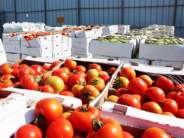 Agricultural produce exported from Gaza