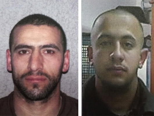 Members of Hamas terror cell apprehended