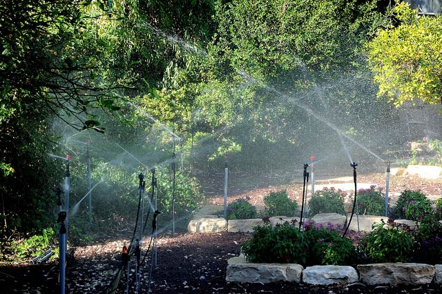 Irrigation at Kibbutz Naan