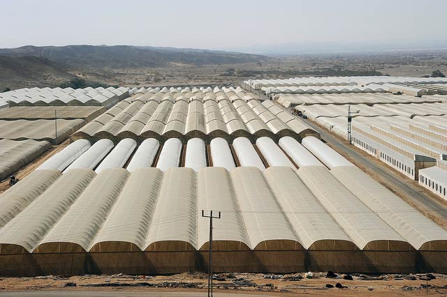 Greenhouses at Hatzeva in the Arava. Photo by Eyal Izhar 