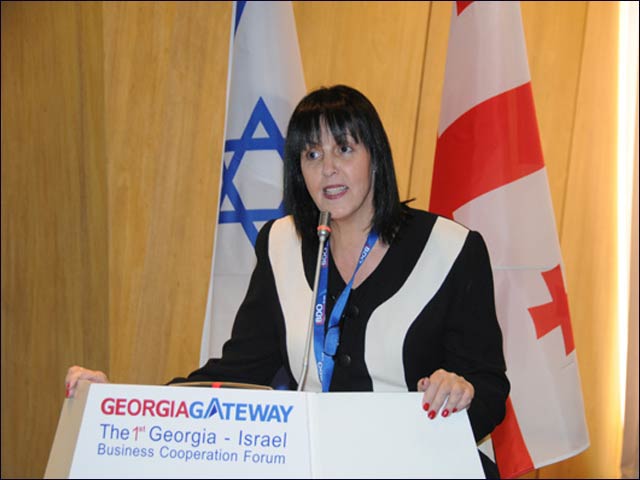 Ilana Kapitolnik speaking at Georgia Gateway