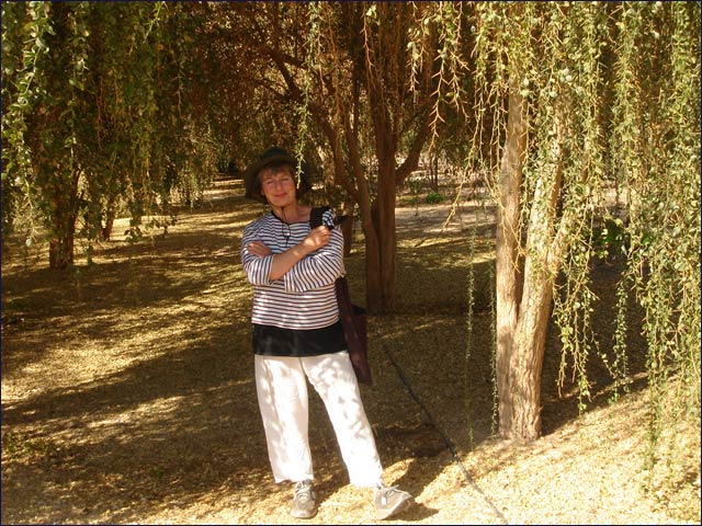 Sarah Sallon investigating Israeli plants