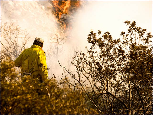 Firefighters battling the Carmel blaze in 2010