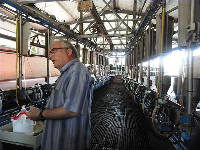 Joshuah Miron, head of the Department of Ruminant Science at the Volcani dairy farm