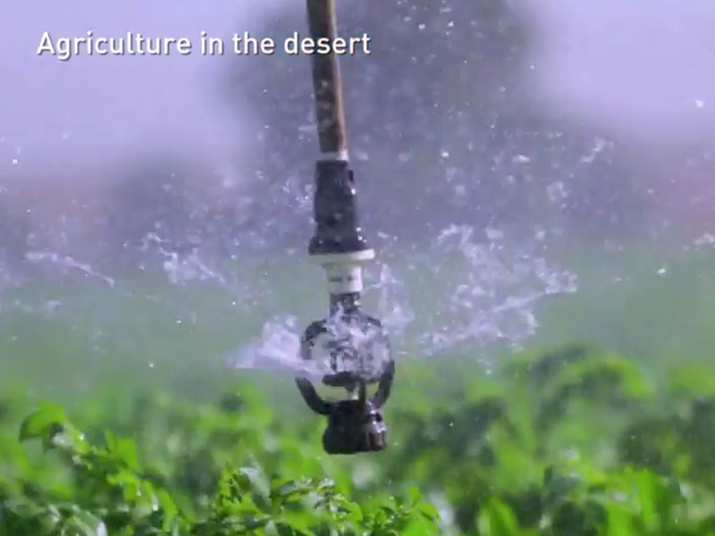 Farming miracles in Israel's Arava desert