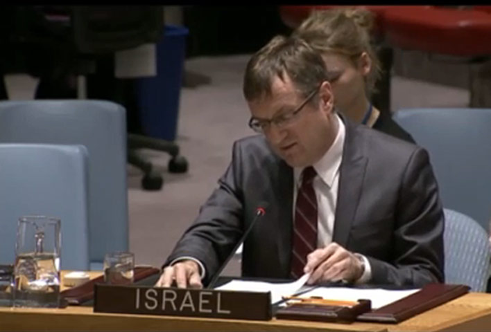 Amb Roet addresses UN Security Council