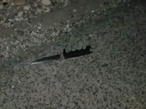 Knife used in one of the recent terror attacks