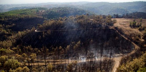 Aerial view of the December 2010 fire