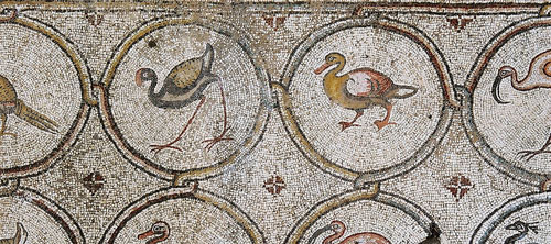 Sixth-century bird mosaic uncovered in Caesarea Photo courtesy Caesarea Development Corp.)