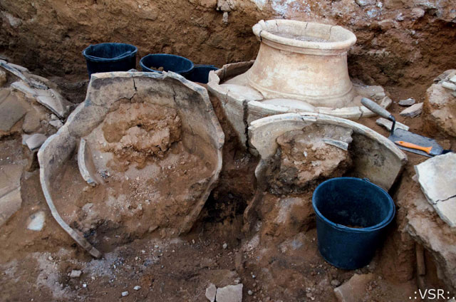 Clay jugs containing seeds of 3,400 year old burnt wheat