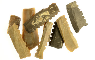 Flint implements exposed during the excavation