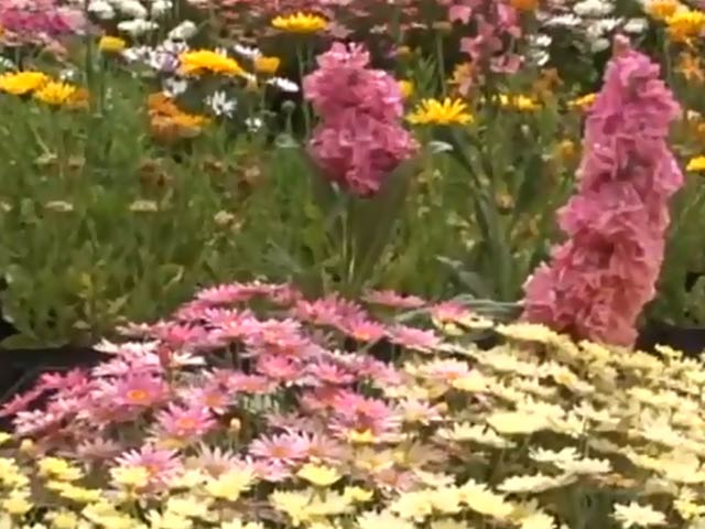 Jerusalem's botanical gardens