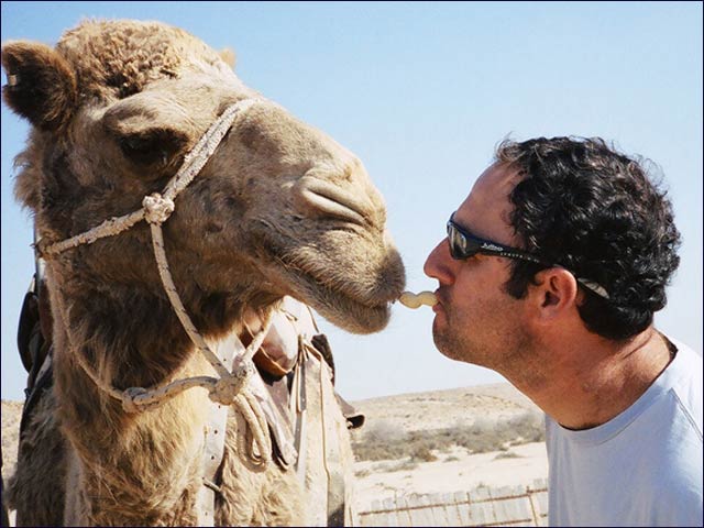 A camel veterinarian makes a house call in the Negev