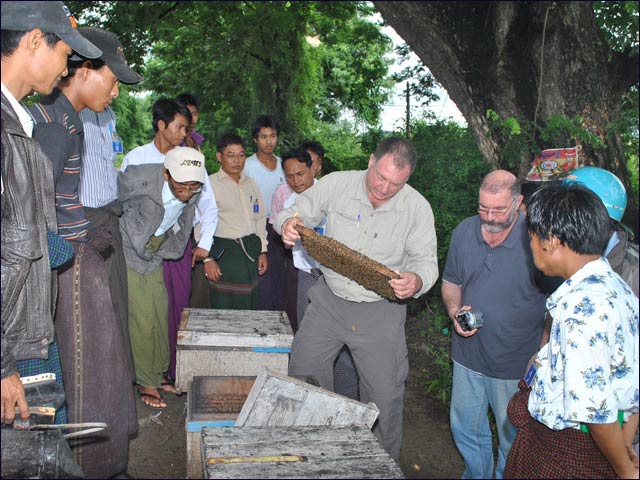 A beekeeping course in Myanmar run by Tag Senior Program Manager Shaike Stern, a beekeeping expert