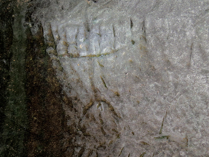 Engraving of a seven-branched menorah.