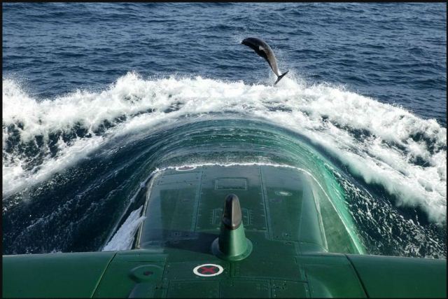 Dolphin leaping out of the water in front of a German U-boat