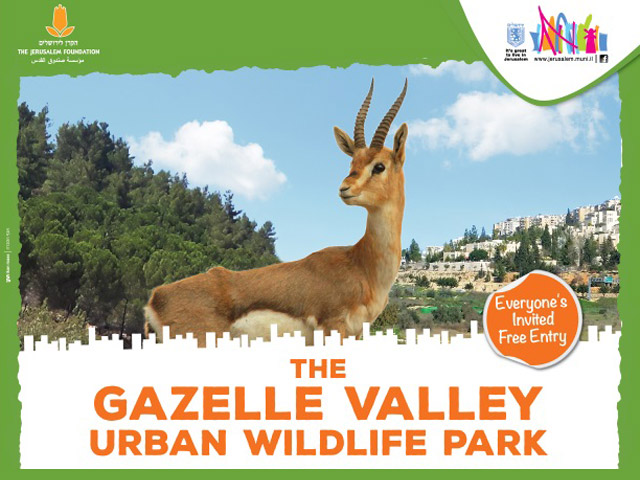 Gazelle Valley Urban Wildlife Park in Jerusalem