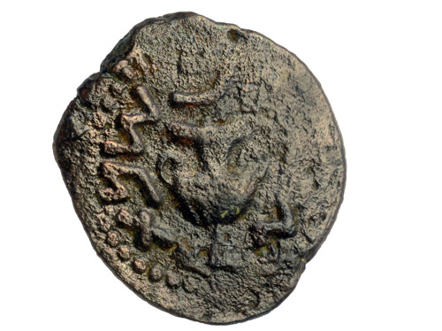 Coin from the period of the Great Revolt against the Romans, discovered in the destruction layer atop the street from the Second