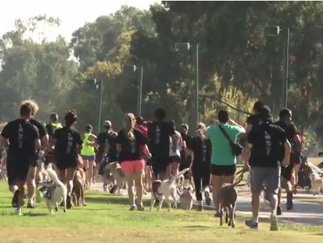 Tel Aviv's first-ever Doggie Run