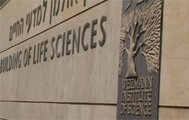 The Weizmann Institute: Where science is a lifestyle