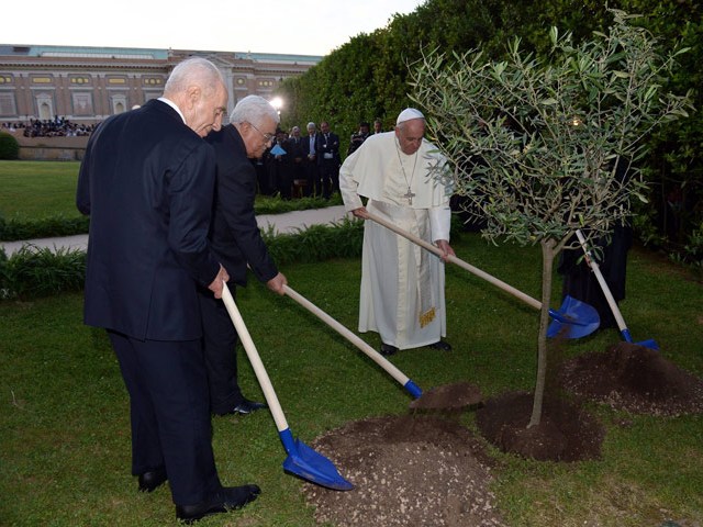 Pope Francis, President Peres and PA President Abbas plant an olive tree at the Vatican