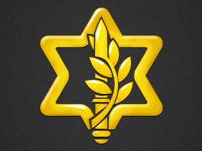 Israel Defense Forces