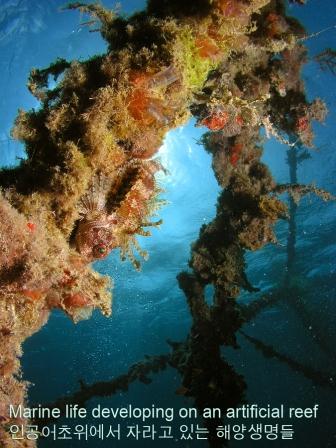 Artificial Reefs