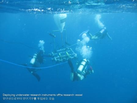 research in the Red Sea