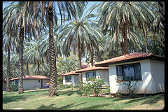 Kibbutz Ein Gev guesthouses.jpg