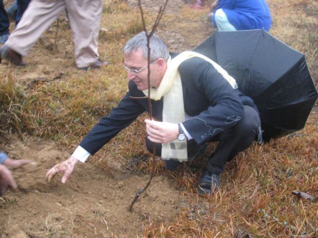 Ambassador Planting a Tree