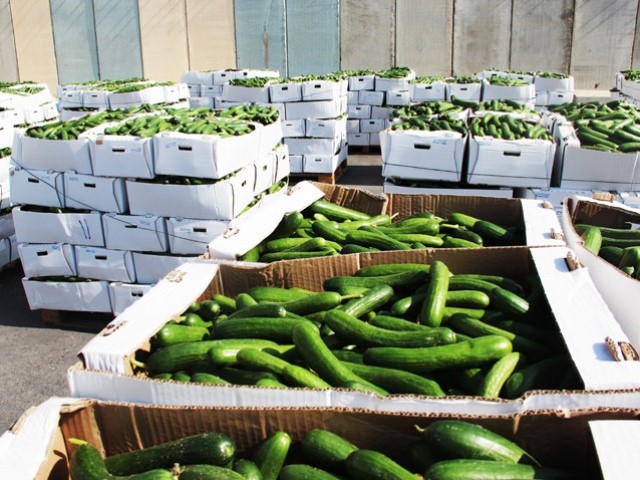 Produce exported from Gaza via border crossings with Israel